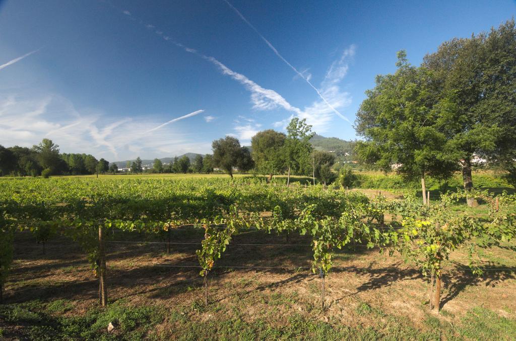 1720 Quinta Da Cancela - Winery & Farmhouse Guimarães Dış mekan fotoğraf