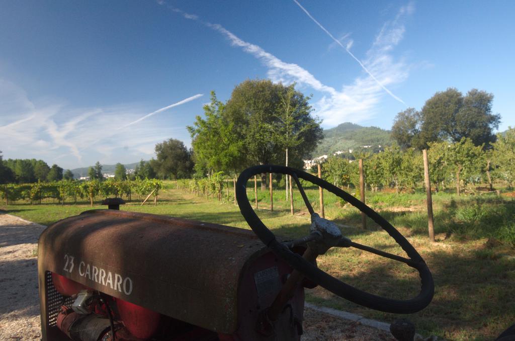 1720 Quinta Da Cancela - Winery & Farmhouse Guimarães Dış mekan fotoğraf
